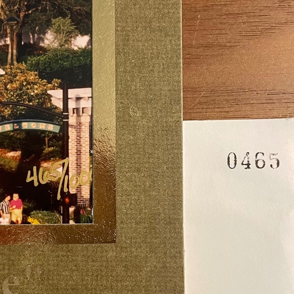 Walt Disney World Cast Member 1996 Collectors Series Ltm. Ed. 6 of 12 (#465) - Picture 3 of 7